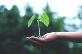 Carbon Accounting Basics: A Quick Guide