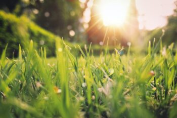 7 Key Takeaways For Startups From The Spring Statement 2018