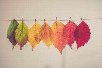 The Future Fund for startups goes live
