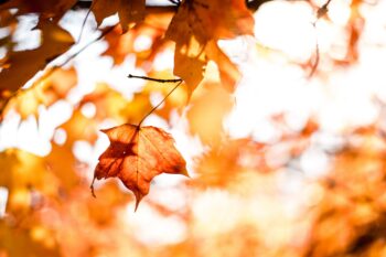 The Autumn Statement 2016 - The headlines for tech start ups